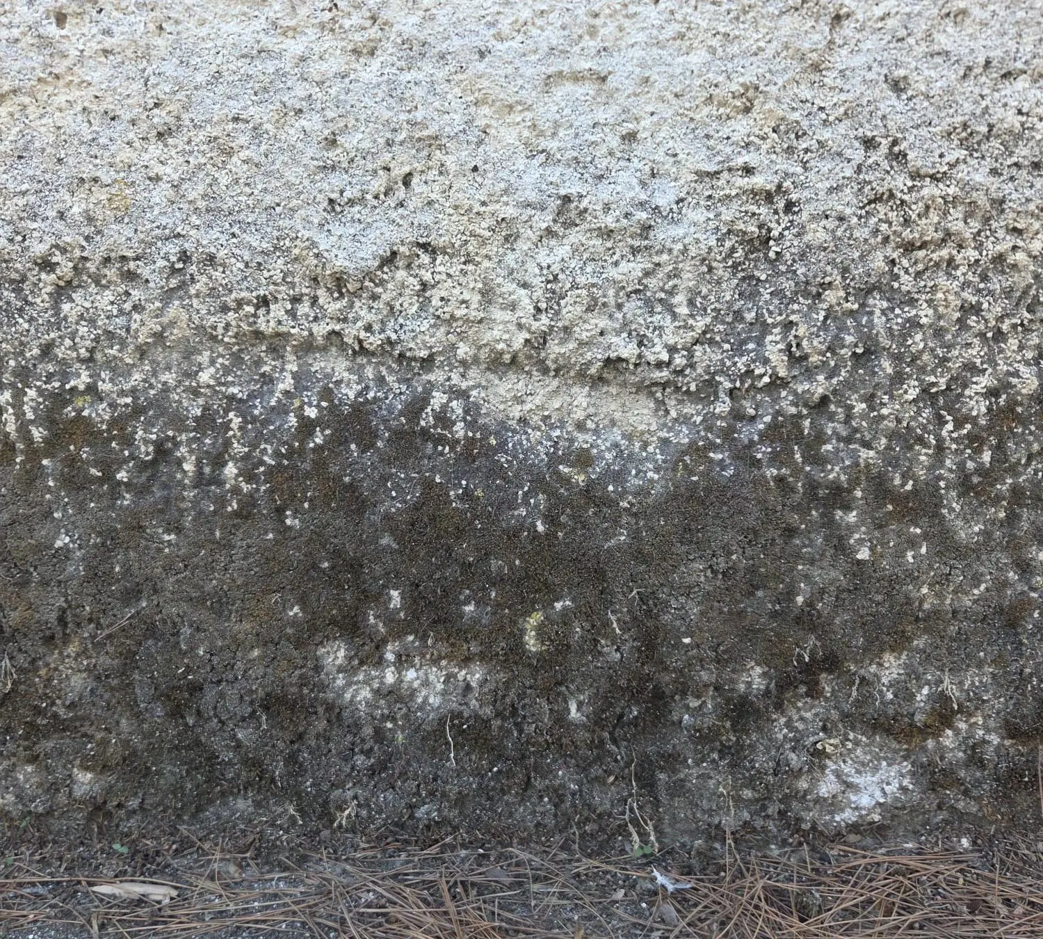 Un muro con umidità di risalita, muschio e macchie scure alla base.